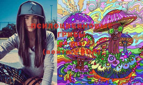 марки lsd Абинск